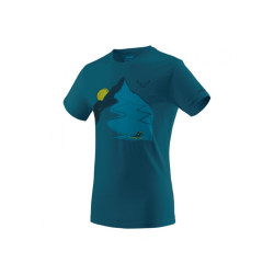 triko Dynafit Artist Series Cotton T-Shirt Men, reef/descent